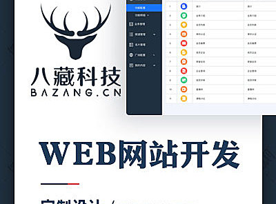 WEB网站开发-定制设计-1V1专业客服